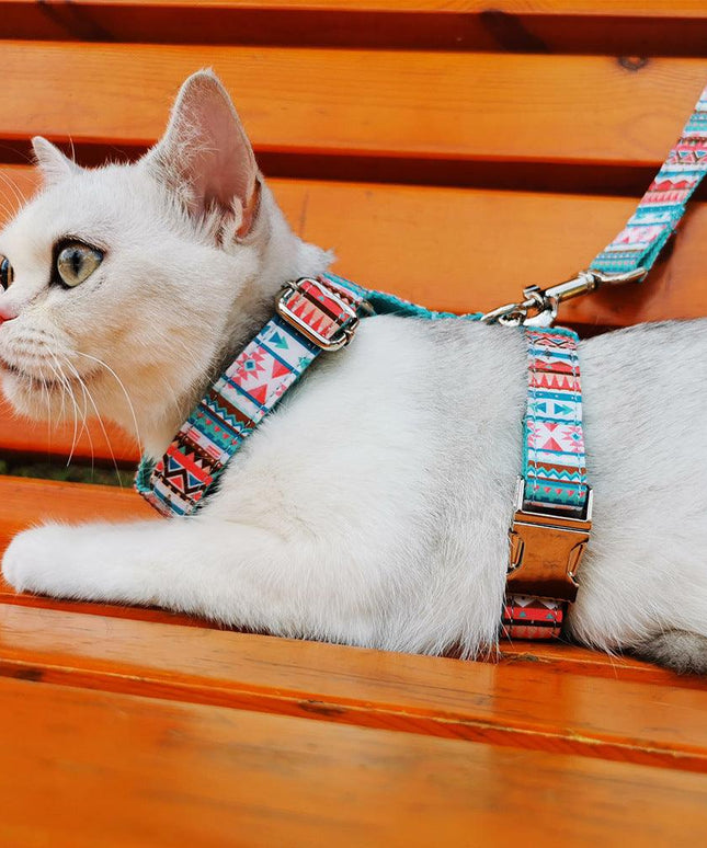 STEP IN HARNESS - DONUT DONUT-3