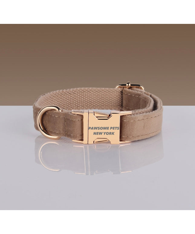 PAWSOME DOG COLLAR - #8-0