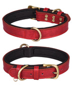 Double D Ring Red Black