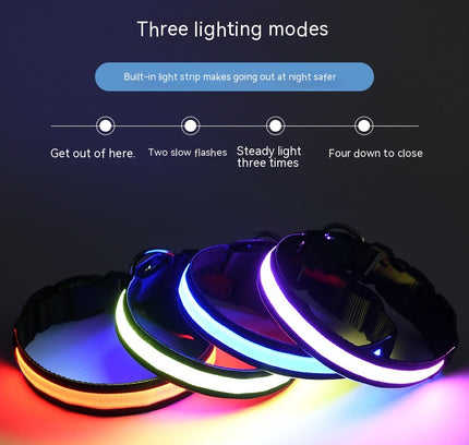 The "High Vis" Nylon LED Collar (USB Rechargeable)