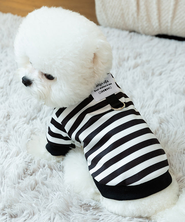 The "Light Velvet" Striped Pullover (Spring & Leash Ready)