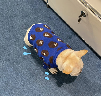 The "Warmth & Trend" Winter Sweater (Dog & Cat)