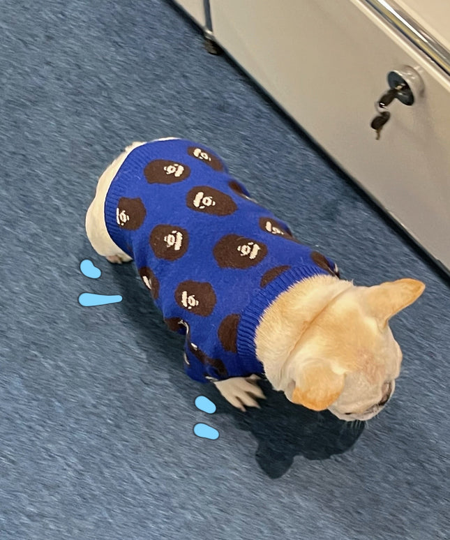 The "Warmth & Trend" Winter Sweater (Dog & Cat)