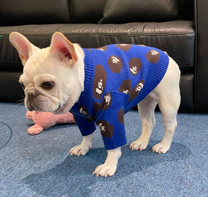 The "Warmth & Trend" Winter Sweater (Dog & Cat)