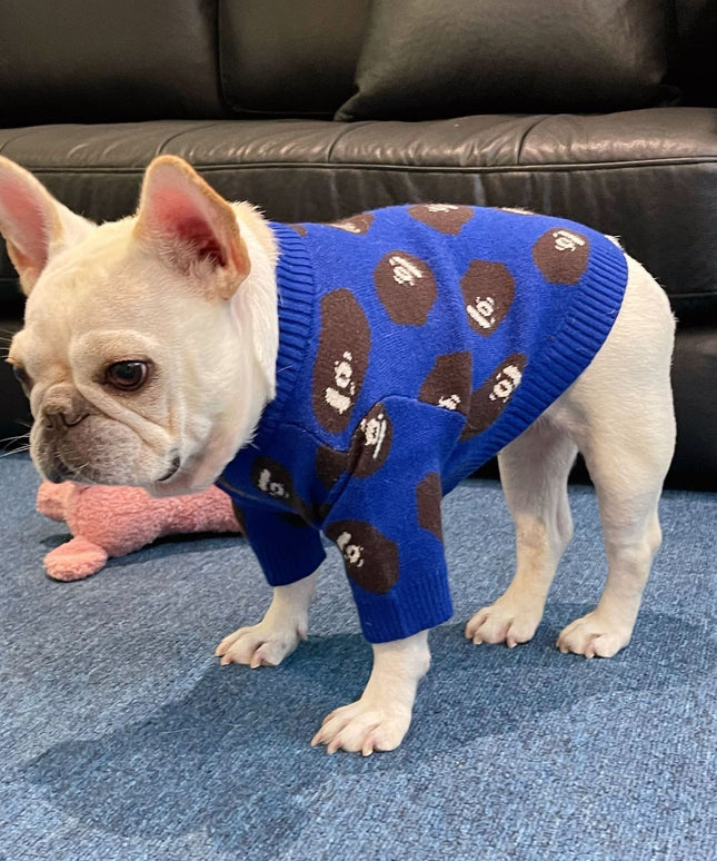 The "Warmth & Trend" Winter Sweater (Dog & Cat)