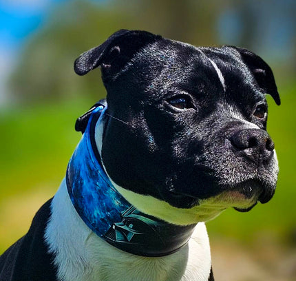 The Darth Force Limited Collar-4