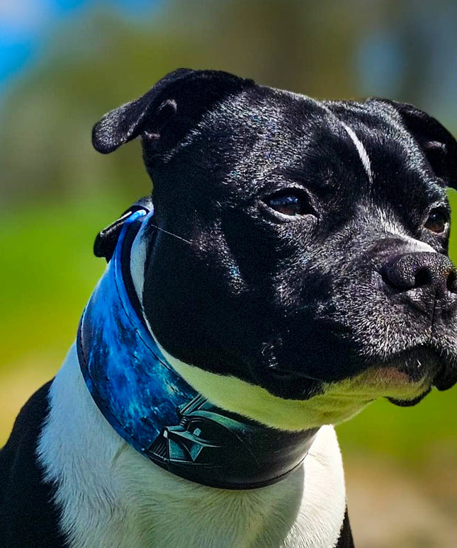 The Darth Force Limited Collar-4