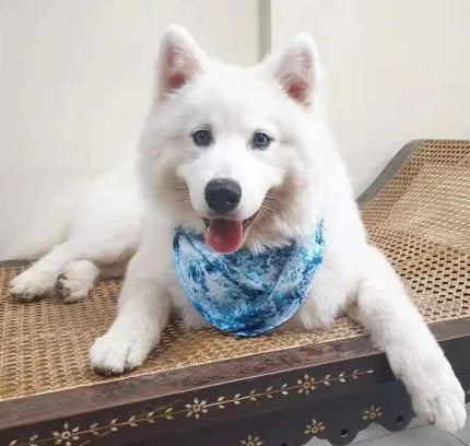 BANDANA - OCEAN BLUE-3