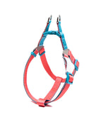 Chest Strap Red And Blue