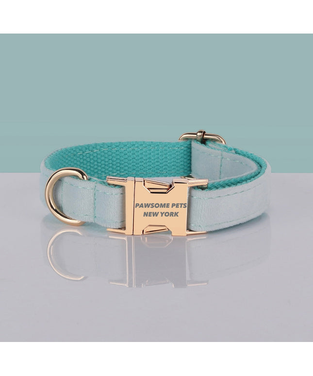 PAWSOME DOG COLLAR - #29-0