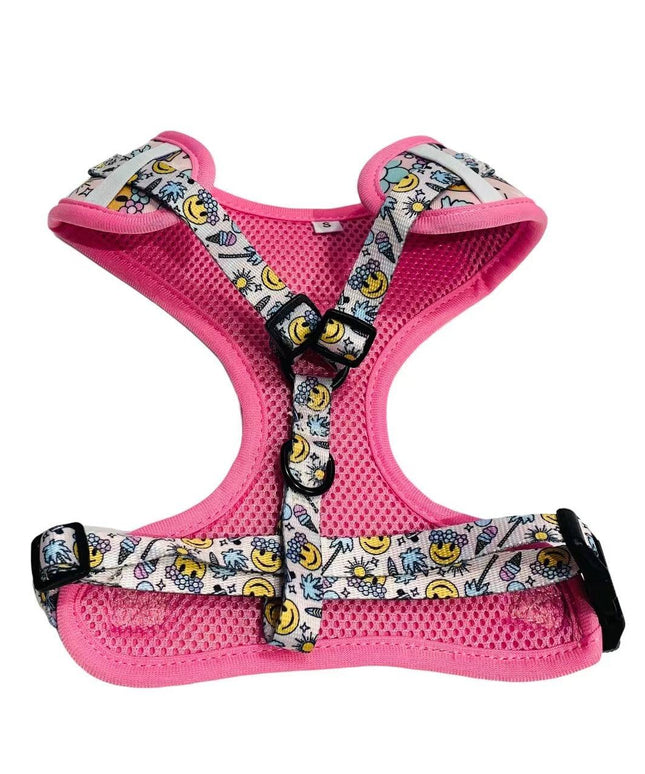 ADJUSTABLE HARNESS - SMILE EVERYDAY-2