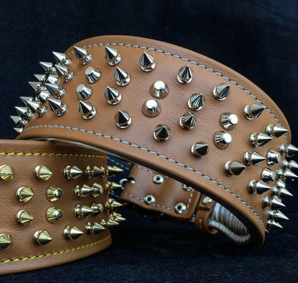 The "Crown" collar-1