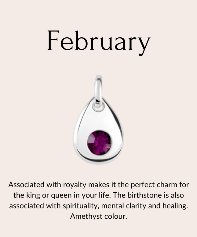 Sterling silver birthstone collar charm-4