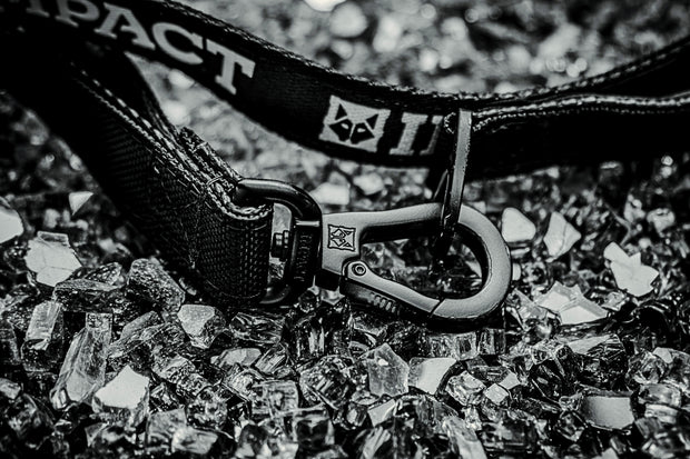 <h1><strong>Collars, harness </strong></h1><h1><strong>and leashes</strong><br/><br/></h1>