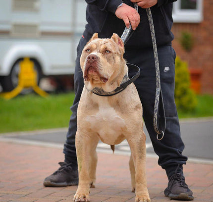 BESTIA DOG SPORT dual handle leash grey camo-2