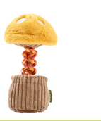 Mushroom Yellow Coffee