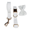 Dog Circle Dog Rope Bow8 / XS