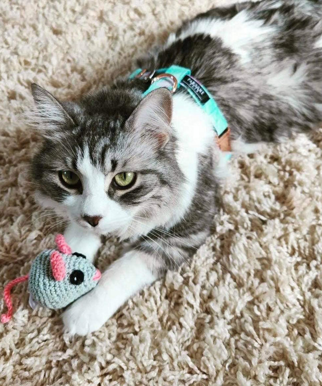 STEP IN HARNESS - SKY-1