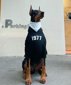 97 Fleece False Two Piece