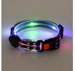 Dog Collar Black / USB