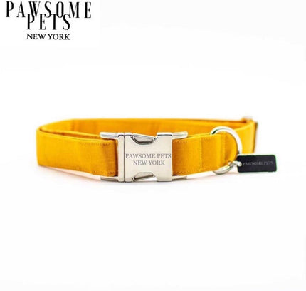 SMALL SIZE DOG & CAT COLLAR - YELLOW VELVET-0