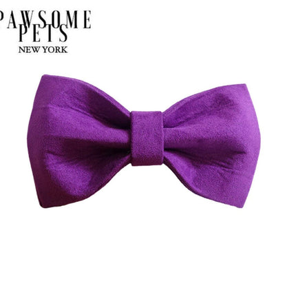 BOWTIE - PURPLE LOVE-0