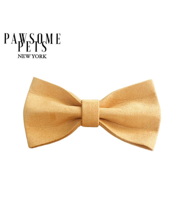 BOWTIE - HONEY-0