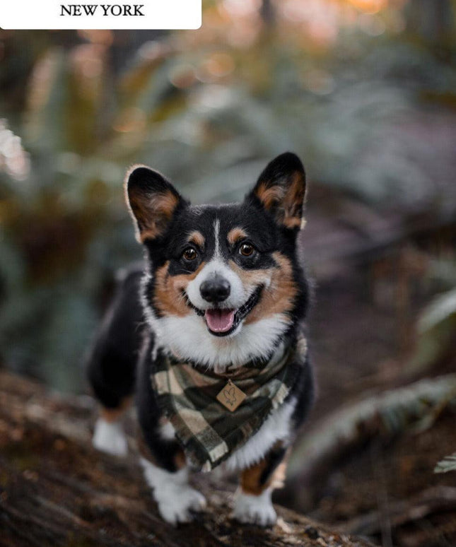 BANDANA - OLIVE GREEN-1