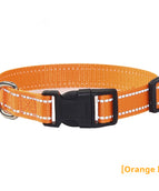 Collar Reflective Orange