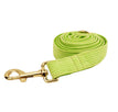 Dog leash4 / XS