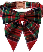 Red Plaid Swallowtail Butterfl