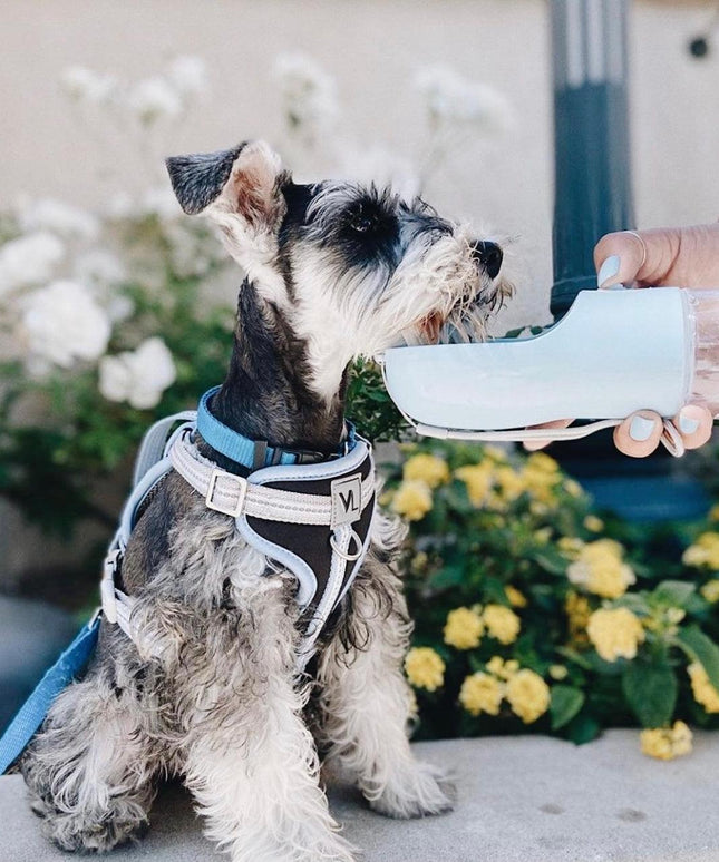 2 IN 1 PORTABLE PET FEEDER - BLUE-1