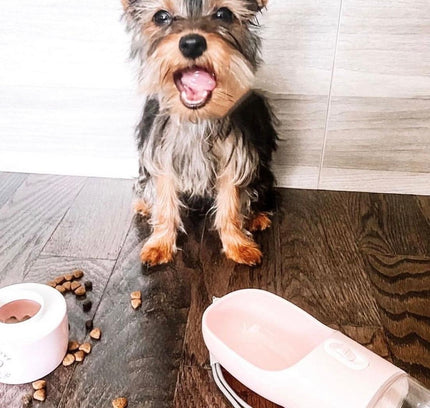 2 IN 1 PORTABLE PET FEEDER - PINK-4