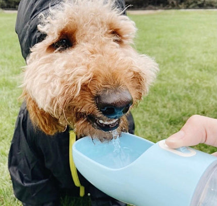 2 IN 1 PORTABLE PET FEEDER - BLUE-3