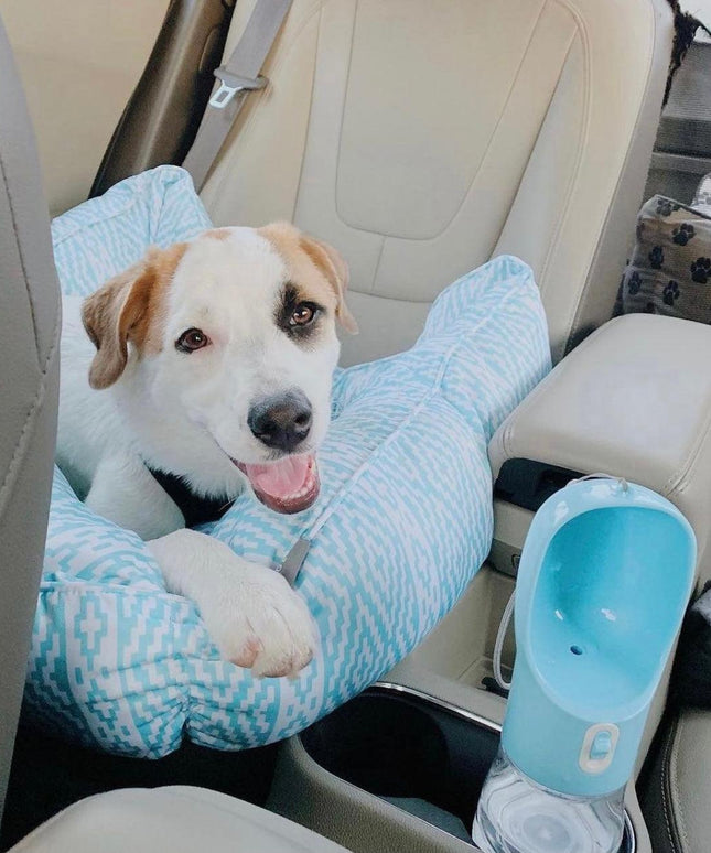 2 IN 1 PORTABLE PET FEEDER - BLUE-2