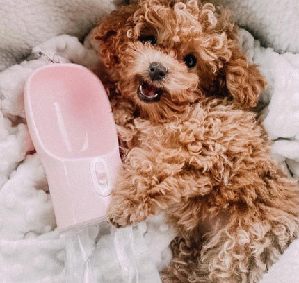 2 IN 1 PORTABLE PET FEEDER - PINK-1