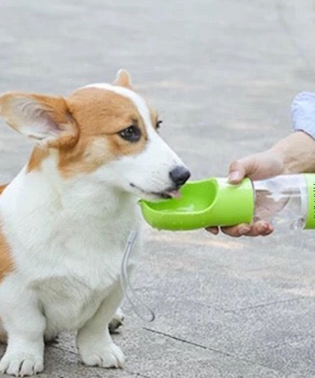 2 IN 1 PORTABLE PET FEEDER - GREEN-1