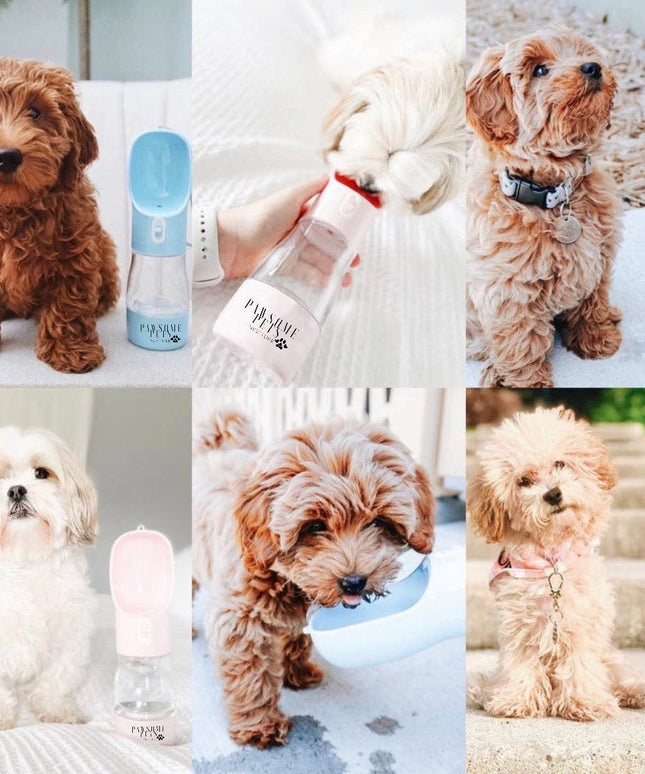 2 IN 1 PORTABLE PET FEEDER - GREEN-3