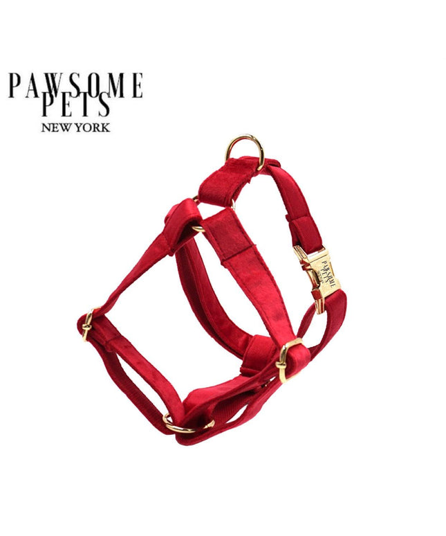 STEP IN HARNESS - RED-0