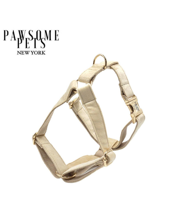 STEP IN HARNESS - BEIGE-0