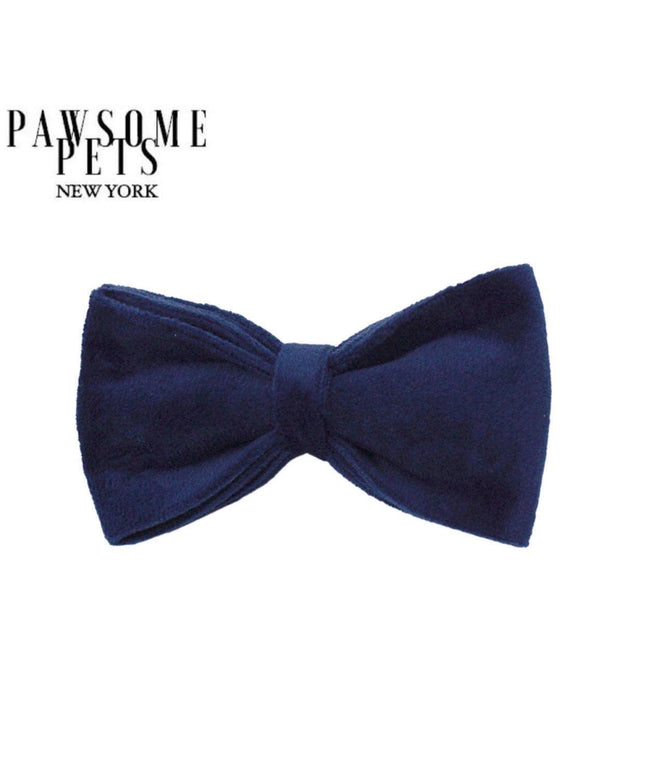 BOWTIE - ROYAL BLUE-0