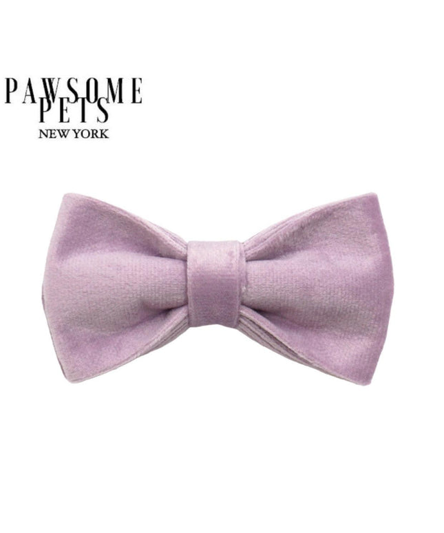 BOWTIE - LIGHT PURPLE-0