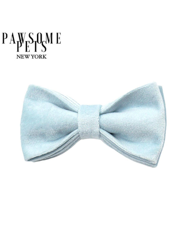 BOWTIE - ICE BLUE-0