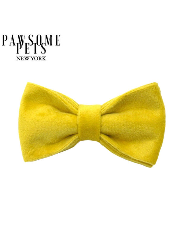 BOWTIE - BRIGHT YELLOW-0
