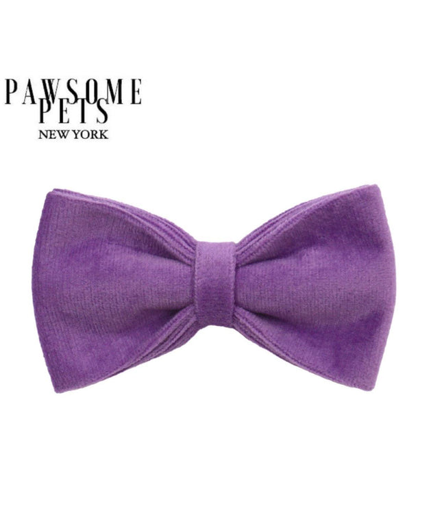 BOWTIE - DARK PURPLE-0