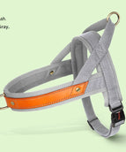 Modern Gray Single Chest Back