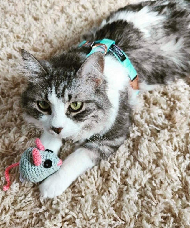 STEP IN BUNDLE - SKY (2 PIECES)-1