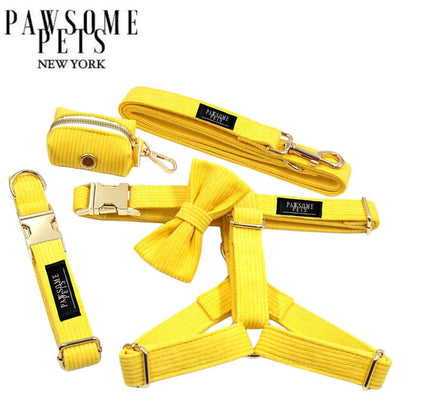 STEP IN BUNDLE - BRIGHT YELLOW (5 PIECES)-0