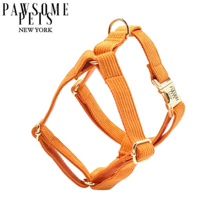 STEP IN HARNESS - ORANGE-0