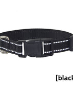 Collar Reflective Black